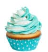 Delicious bakery cupcake with blue and white frosting, perfect for celebrations.