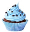 Bakery cupcake with blue frosting and star-shaped chocolate sprinkles.