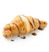 Croissant with chocolate drizzle on white background.